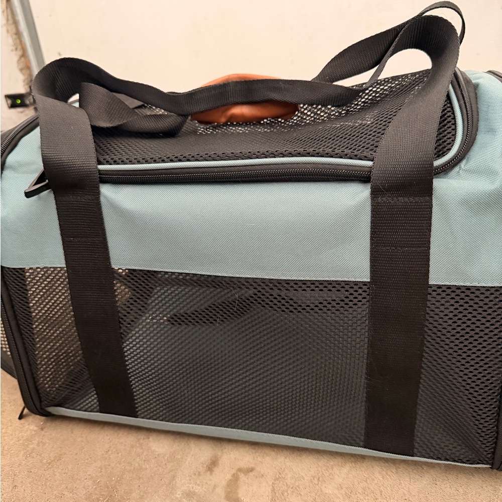 Pet carrier